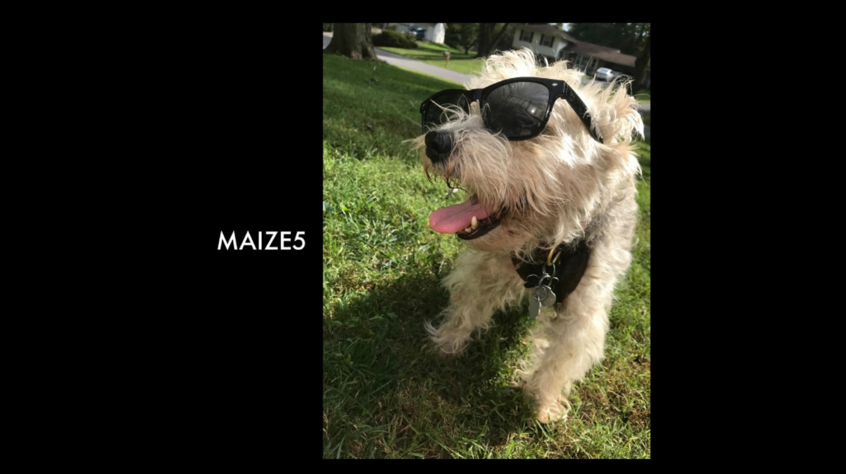 MAIZE5 DJ Mix